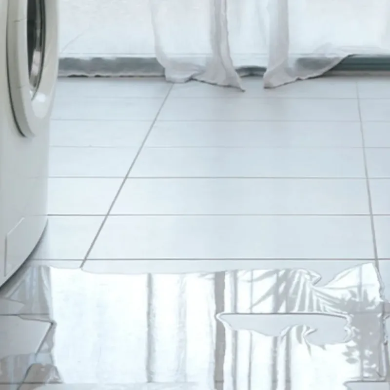 Appliance Leak Cleanup in Montgomery County, NC