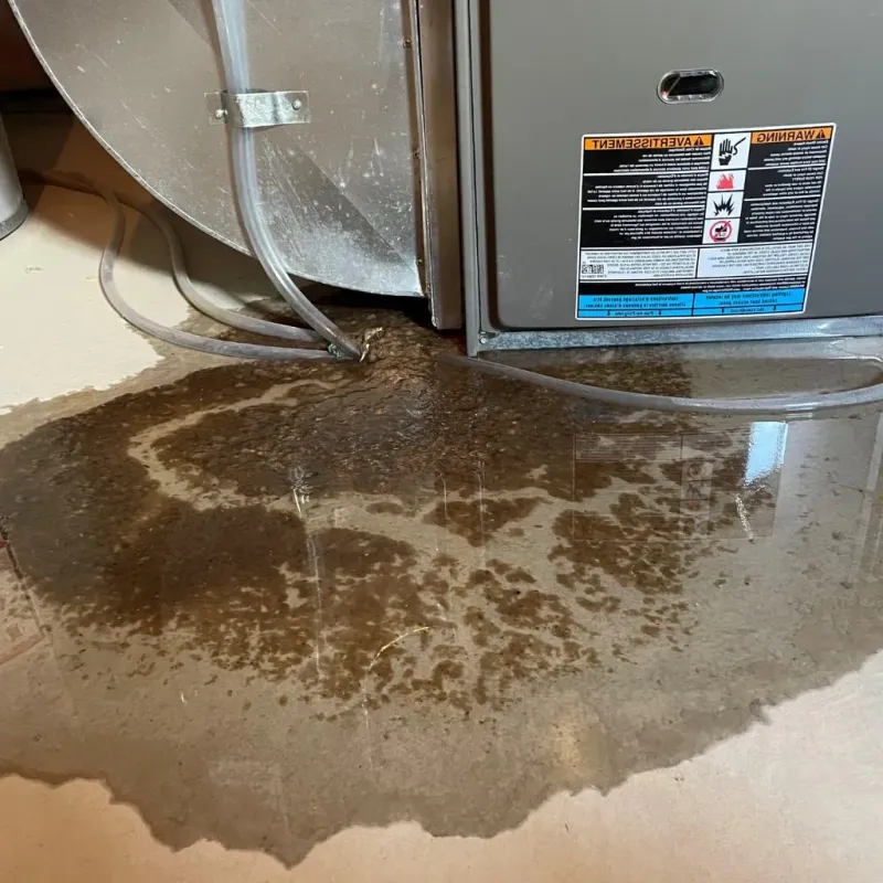 Pipe Burst and Leak Restoration in Montgomery County, NC
